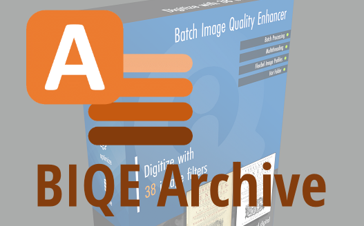 About BIQE Archive